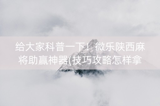 给大家科普一下！微乐陕西麻将助赢神器(技巧攻略怎样拿好牌)