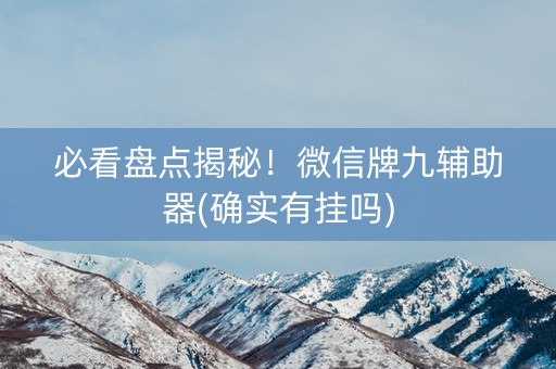 必看盘点揭秘！微信牌九辅助器(确实有挂吗)