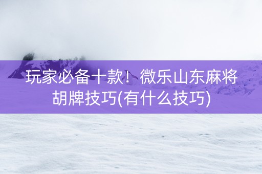玩家必备十款！微乐山东麻将胡牌技巧(有什么技巧)