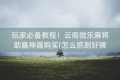 玩家必备教程！云南微乐麻将助赢神器购买(怎么抓到好牌)