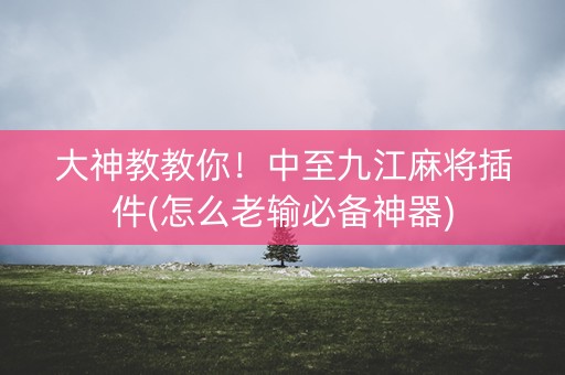 大神教教你！中至九江麻将插件(怎么老输必备神器)