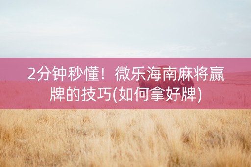 2分钟秒懂！微乐海南麻将赢牌的技巧(如何拿好牌)