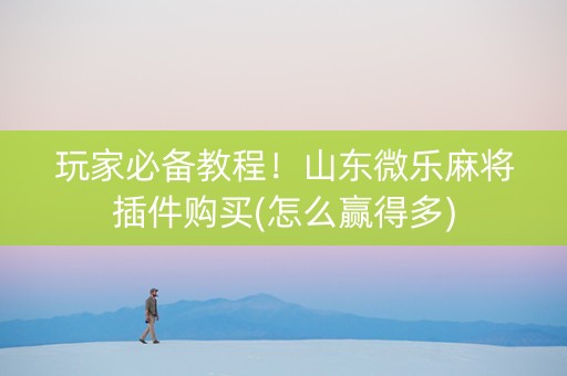 玩家必备教程！山东微乐麻将插件购买(怎么赢得多)