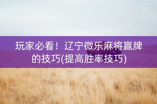 玩家必看！辽宁微乐麻将赢牌的技巧(提高胜率技巧)