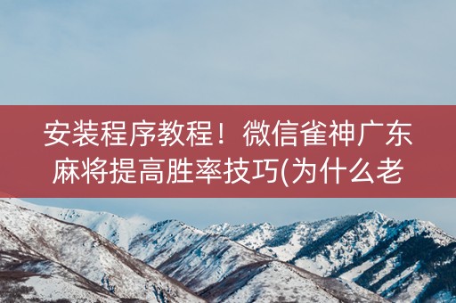 安装程序教程！微信雀神广东麻将提高胜率技巧(为什么老输)