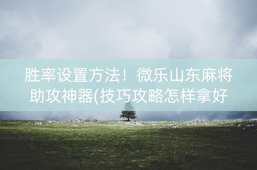 胜率设置方法！微乐山东麻将助攻神器(技巧攻略怎样拿好牌)