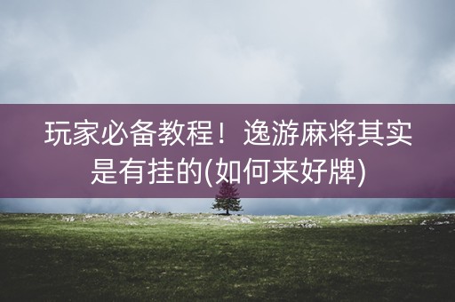 玩家必备教程！逸游麻将其实是有挂的(如何来好牌)