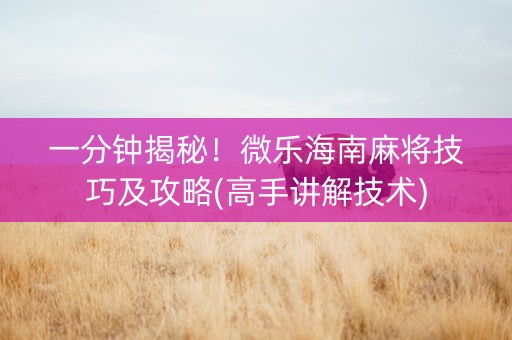 一分钟揭秘！微乐海南麻将技巧及攻略(高手讲解技术)
