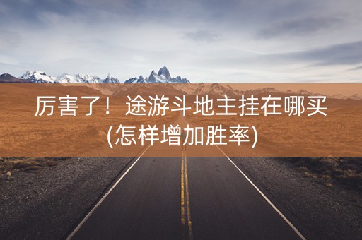 厉害了！途游斗地主挂在哪买(怎样增加胜率)