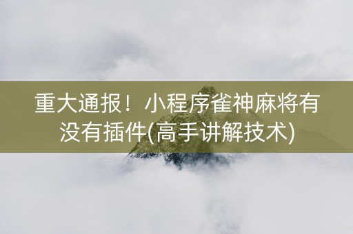 重大通报！小程序雀神麻将有没有插件(高手讲解技术)