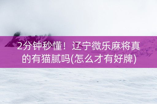 2分钟秒懂！辽宁微乐麻将真的有猫腻吗(怎么才有好牌)