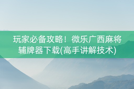 玩家必备攻略！微乐广西麻将辅牌器下载(高手讲解技术)