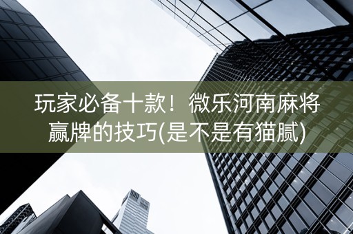玩家必备十款！微乐河南麻将赢牌的技巧(是不是有猫腻)