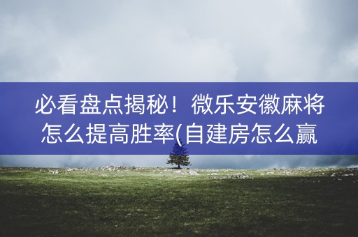 必看盘点揭秘！微乐安徽麻将怎么提高胜率(自建房怎么赢)