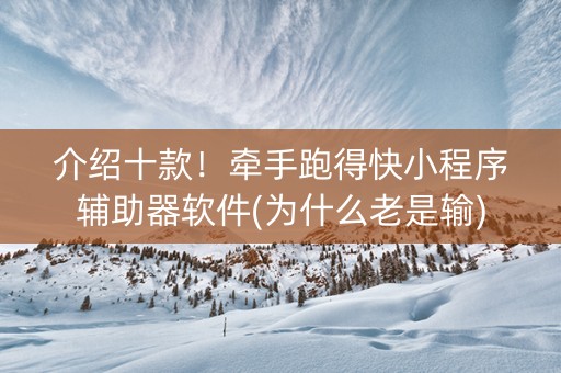 介绍十款！牵手跑得快小程序辅助器软件(为什么老是输)