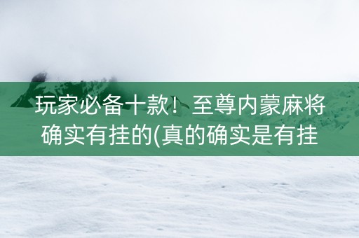 玩家必备十款！至尊内蒙麻将确实有挂的(真的确实是有挂)