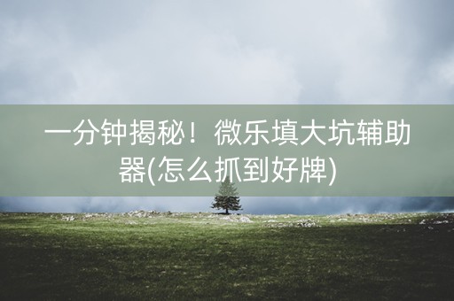 一分钟揭秘！微乐填大坑辅助器(怎么抓到好牌)
