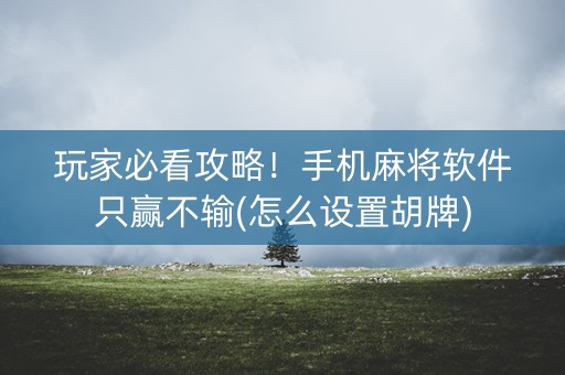 玩家必看攻略！手机麻将软件只赢不输(怎么设置胡牌)