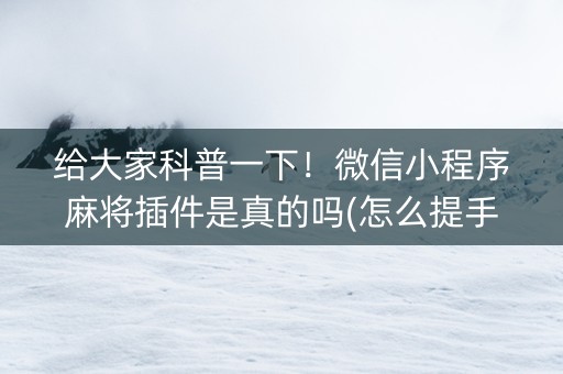 给大家科普一下！微信小程序麻将插件是真的吗(怎么提手拿好牌)
