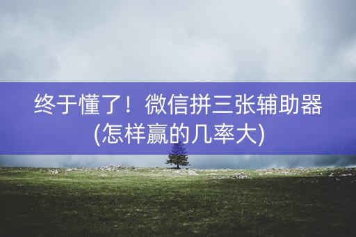 终于懂了！微信拼三张辅助器(怎样赢的几率大)