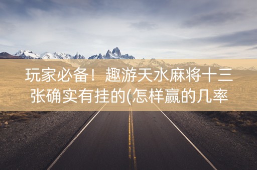 玩家必备！趣游天水麻将十三张确实有挂的(怎样赢的几率大)
