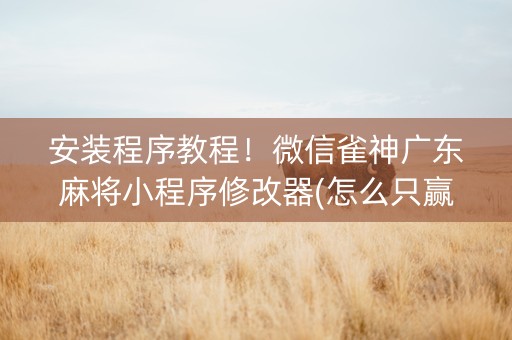 安装程序教程！微信雀神广东麻将小程序修改器(怎么只赢不输)