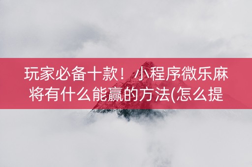 玩家必备十款！小程序微乐麻将有什么能赢的方法(怎么提升胜率)