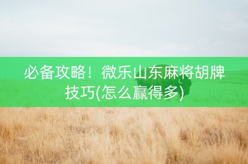 必备攻略！微乐山东麻将胡牌技巧(怎么赢得多)