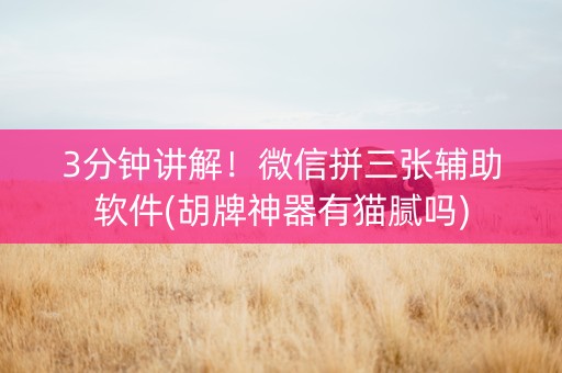 3分钟讲解！微信拼三张辅助软件(胡牌神器有猫腻吗)