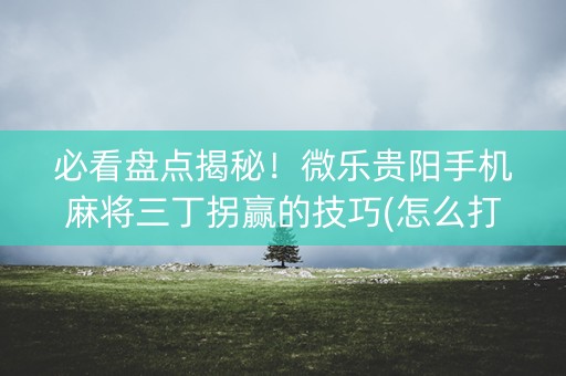 必看盘点揭秘！微乐贵阳手机麻将三丁拐赢的技巧(怎么打才会赢)