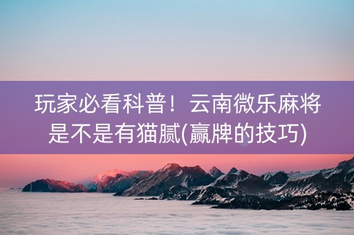 玩家必看科普！云南微乐麻将是不是有猫腻(赢牌的技巧)