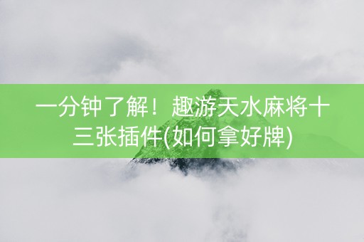 一分钟了解！趣游天水麻将十三张插件(如何拿好牌)