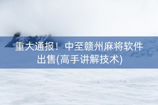 重大通报！中至赣州麻将软件出售(高手讲解技术)