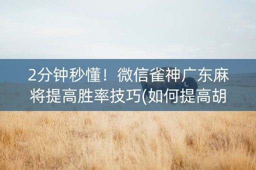 2分钟秒懂！微信雀神广东麻将提高胜率技巧(如何提高胡牌率)