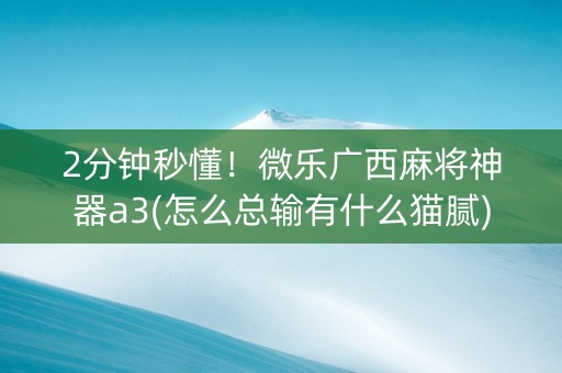 2分钟秒懂！微乐广西麻将神器a3(怎么总输有什么猫腻)