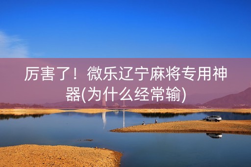 厉害了！微乐辽宁麻将专用神器(为什么经常输)