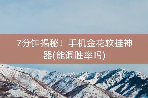 7分钟揭秘！手机金花软挂神器(能调胜率吗)