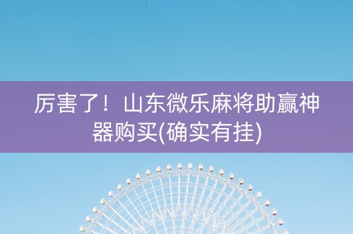 厉害了！山东微乐麻将助赢神器购买(确实有挂)