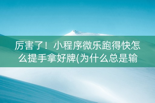 厉害了！小程序微乐跑得快怎么提手拿好牌(为什么总是输)
