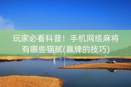 玩家必看科普！手机网络麻将有哪些猫腻(赢牌的技巧)
