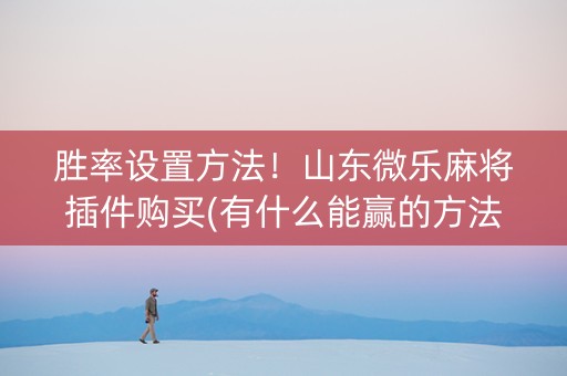 胜率设置方法！山东微乐麻将插件购买(有什么能赢的方法)