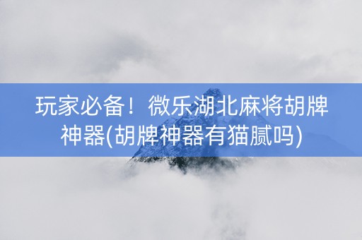 玩家必备！微乐湖北麻将胡牌神器(胡牌神器有猫腻吗)