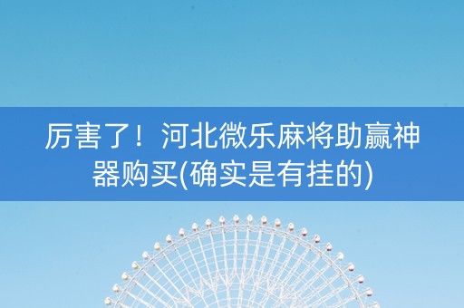 厉害了！河北微乐麻将助赢神器购买(确实是有挂的)