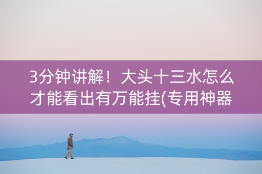 3分钟讲解！大头十三水怎么才能看出有万能挂(专用神器下载)