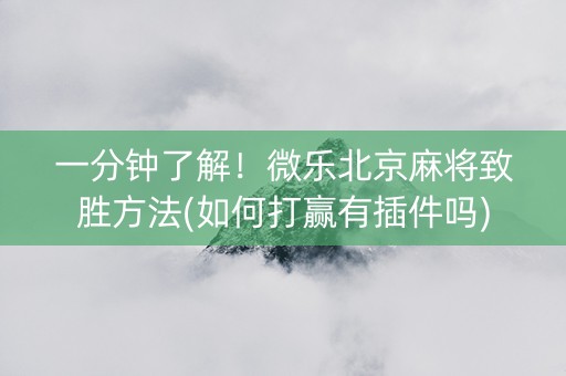 一分钟了解！微乐北京麻将致胜方法(如何打赢有插件吗)