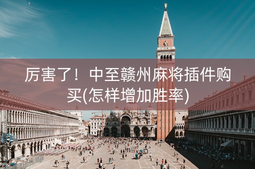 厉害了！中至赣州麻将插件购买(怎样增加胜率)
