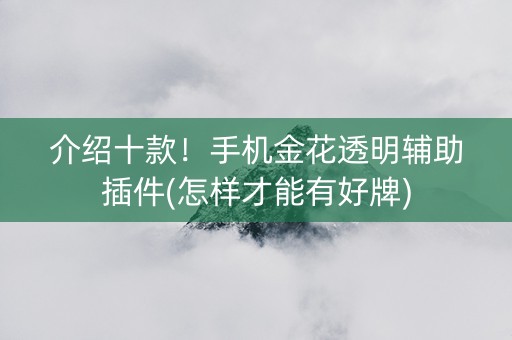 介绍十款！手机金花透明辅助插件(怎样才能有好牌)