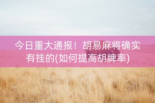 今日重大通报！胡易麻将确实有挂的(如何提高胡牌率)
