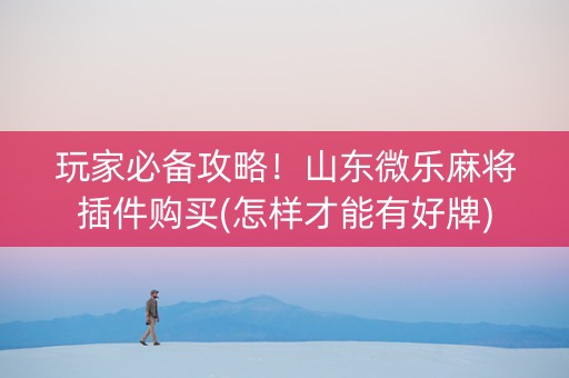 玩家必备攻略！山东微乐麻将插件购买(怎样才能有好牌)