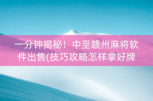 一分钟揭秘！中至赣州麻将软件出售(技巧攻略怎样拿好牌)